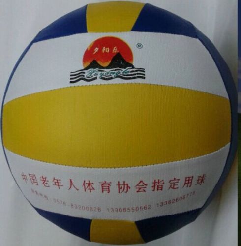 Ballon de volley-ball - Ref 2010783