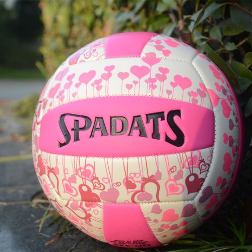 Ballon de volley-ball - Ref 2010788