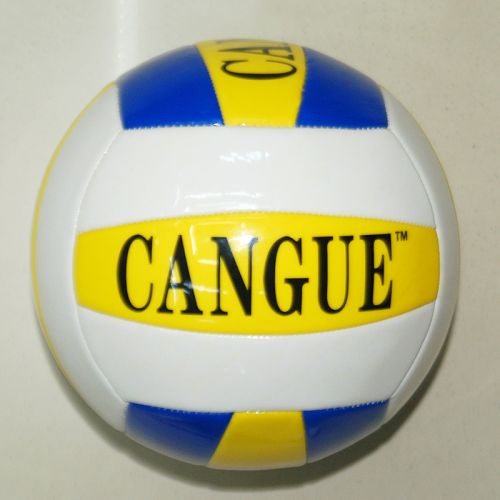 Ballon de volley-ball - Ref 2010802