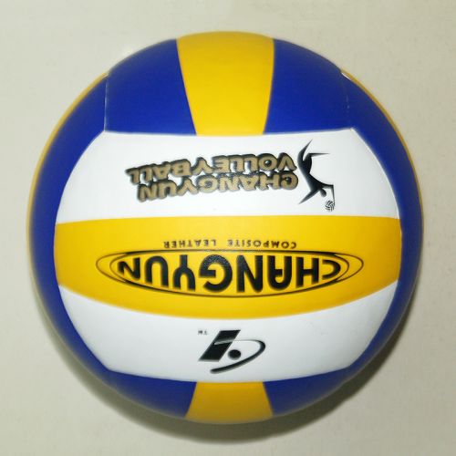 Ballon de volley-ball - Ref 2010810