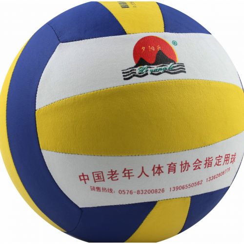Ballon de volley-ball - Ref 2010819
