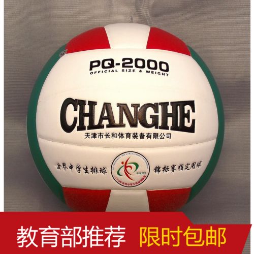Ballon de volley-ball - Ref 2010824