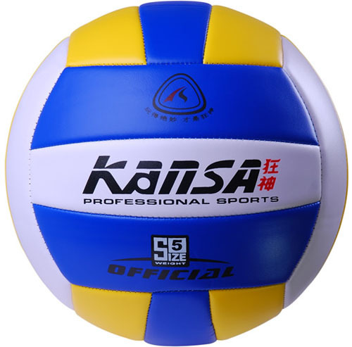 Ballon de volley-ball - Ref 2010903