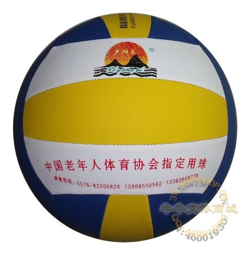 Ballon de volley-ball - Ref 2010951