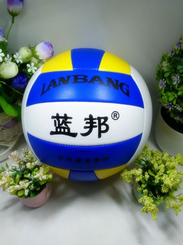 Ballon de volley-ball - Ref 2010991