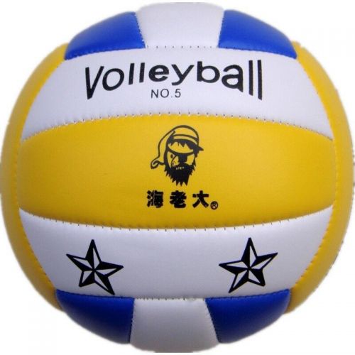 Ballon de volley-ball - Ref 2011005