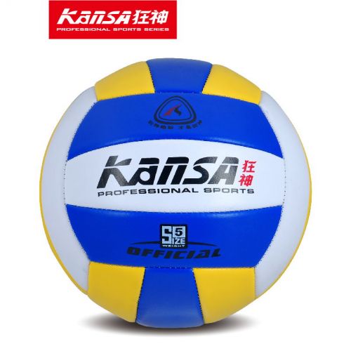Ballon de volley-ball - Ref 2011006