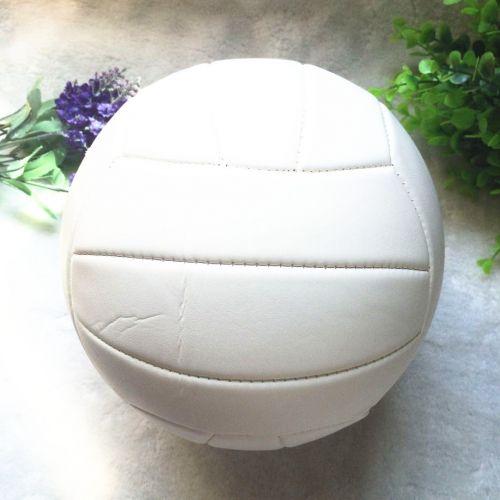 Ballon de volley-ball - Ref 2011010