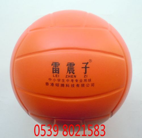 Ballon de volley-ball - Ref 2011013