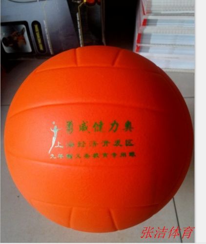 Ballon de volley-ball - Ref 2011017