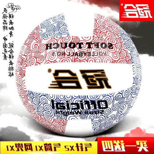 Ballon de volley-ball - Ref 2011023