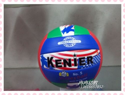 Ballon de volley-ball - Ref 2011029