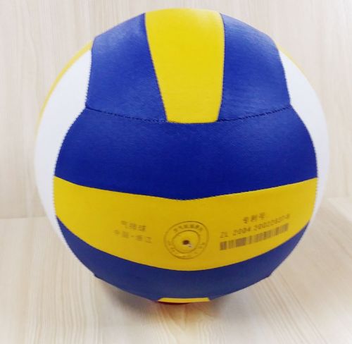 Ballon de volley-ball - Ref 2011046