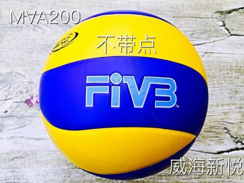 Ballon de volley-ball - Ref 2011061