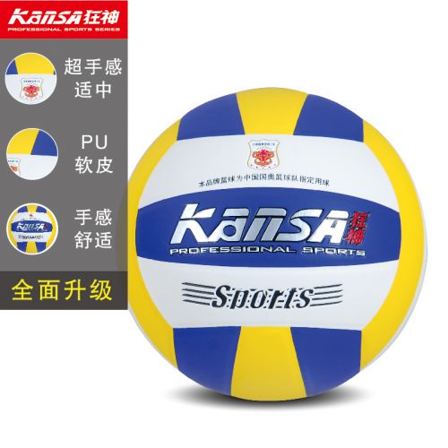 Ballon de volley-ball - Ref 2011064