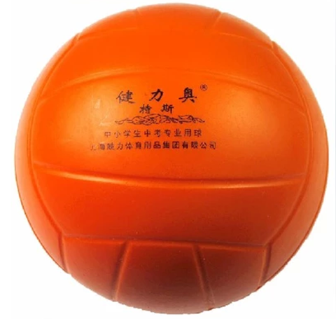 Ballon de volley-ball - Ref 2011066
