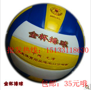 Ballon de volley-ball - Ref 2011075