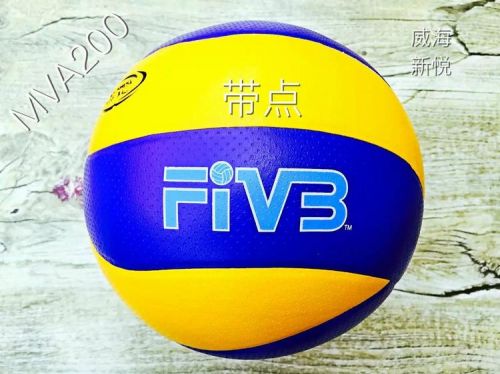 Ballon de volley-ball - Ref 2011077