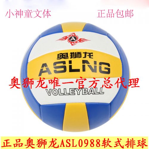 Ballon de volley-ball - Ref 2011078
