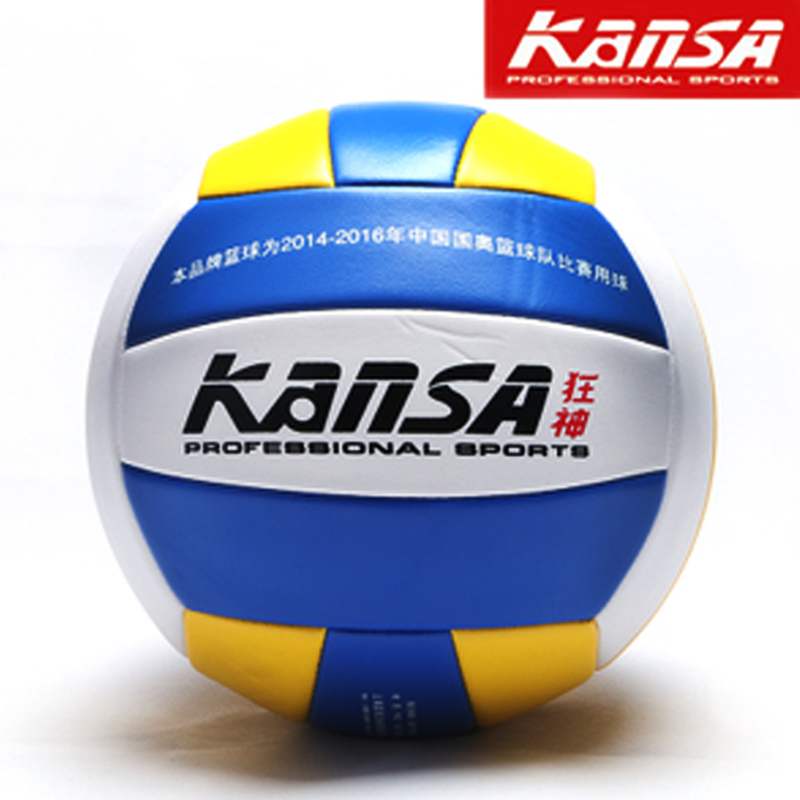 Ballon de volley-ball - Ref 2011083