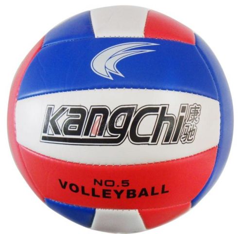 Ballon de volley-ball - Ref 2011090