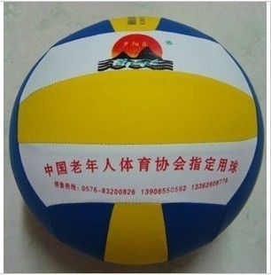 Ballon de volley-ball - Ref 2011111