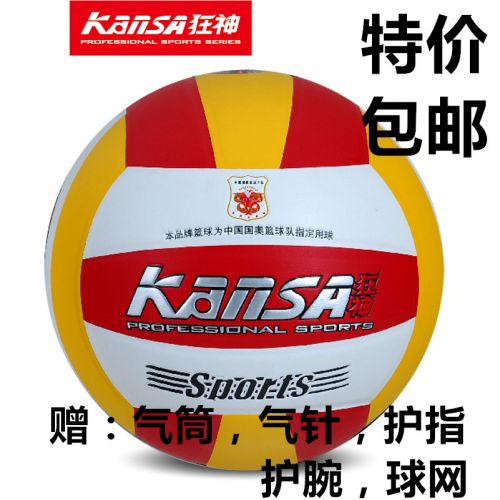 Ballon de volley-ball - Ref 2011131