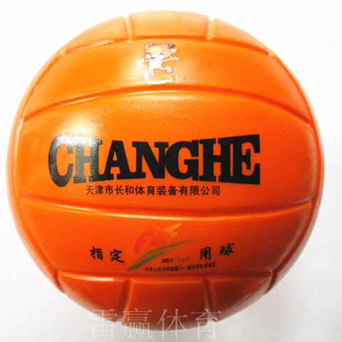 Ballon de volley-ball - Ref 2011202