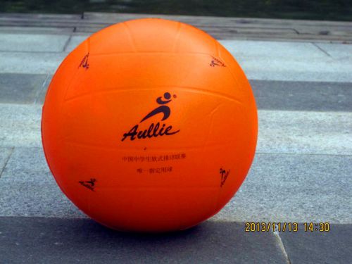 Ballon de volley-ball - Ref 2011204