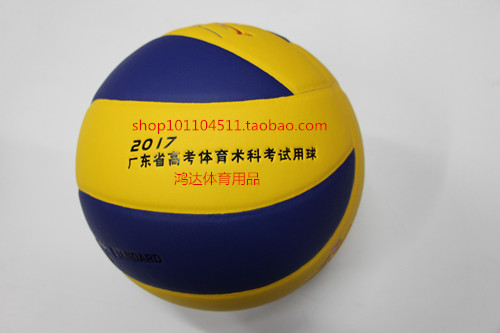Ballon de volley-ball - Ref 2011214