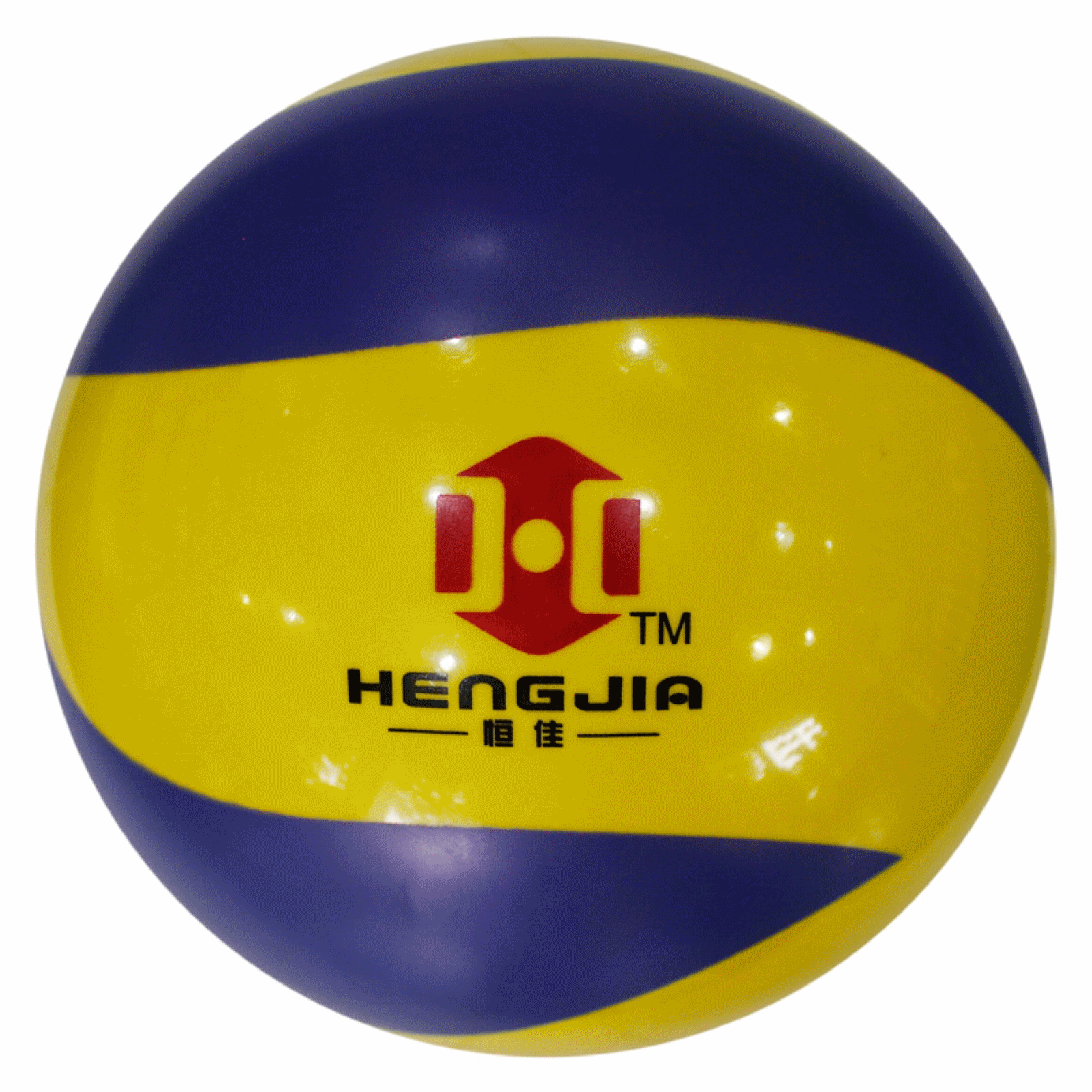 Ballon de volley-ball SOTX - Ref 2011238