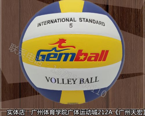 Ballon de volley-ball - Ref 2011267