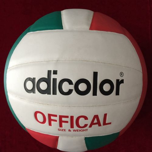Ballon de volley-ball - Ref 2011287