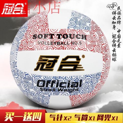 Ballon de volley-ball - Ref 2011304