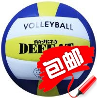 Ballon de volley-ball - Ref 2011320