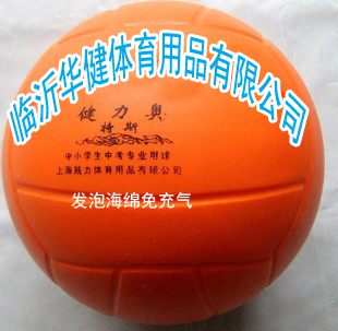 Ballon de volley-ball - Ref 2011353