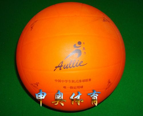 Ballon de volley-ball - Ref 2011424