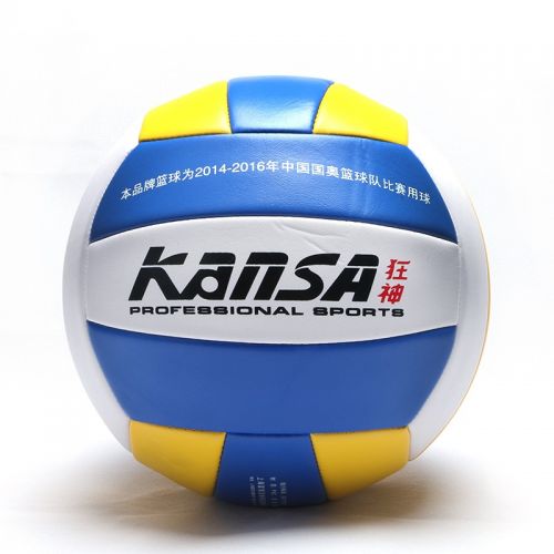 Ballon de volley ball 2011461