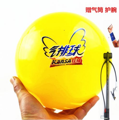 Ballon de volley ball 2011551