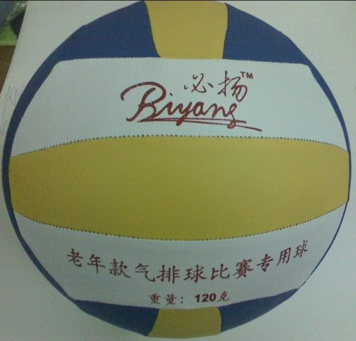 Ballon de volley-ball - Ref 2011618