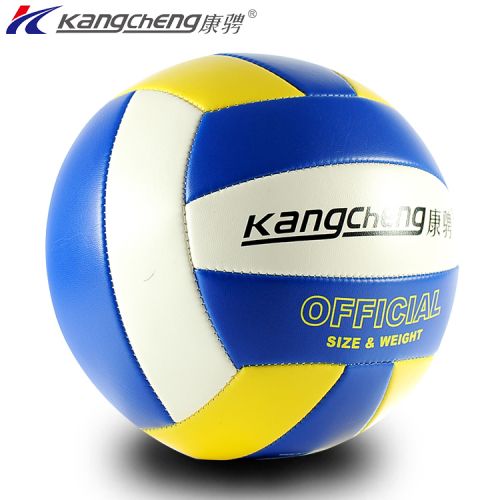 Ballon de volley-ball - Ref 2011622
