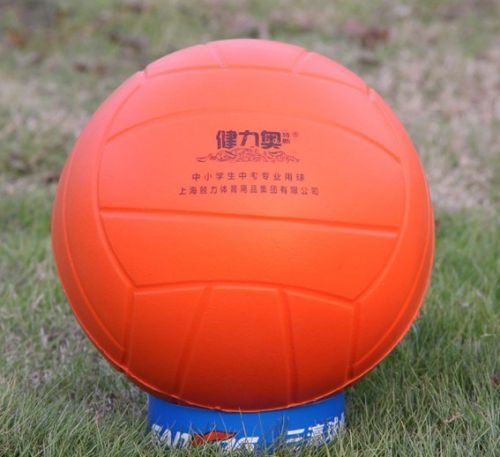 Ballon de volley-ball - Ref 2011624