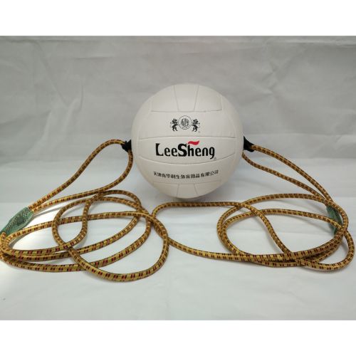 Ballon de volley-ball - Ref 2011654