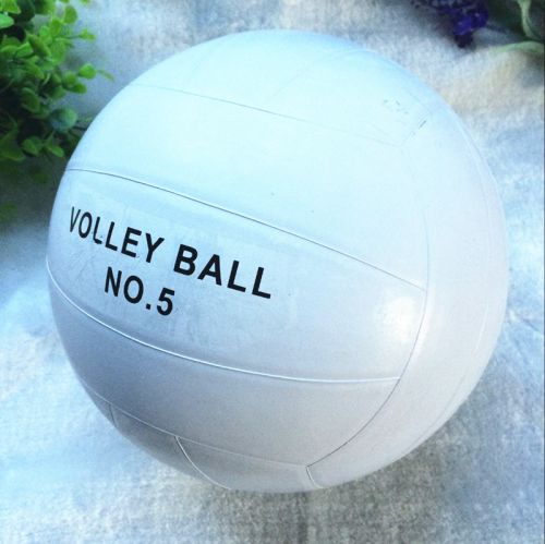 Ballon de volley-ball - Ref 2011875