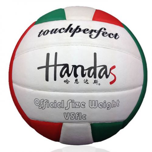 Ballon de volley-ball - Ref 2011903