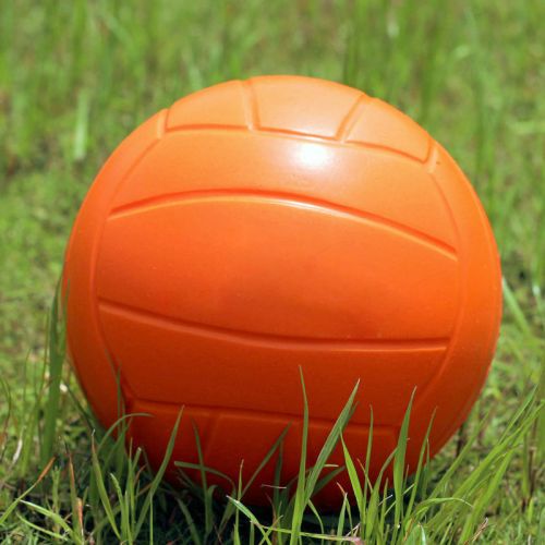 Ballon de volley-ball - Ref 2011925