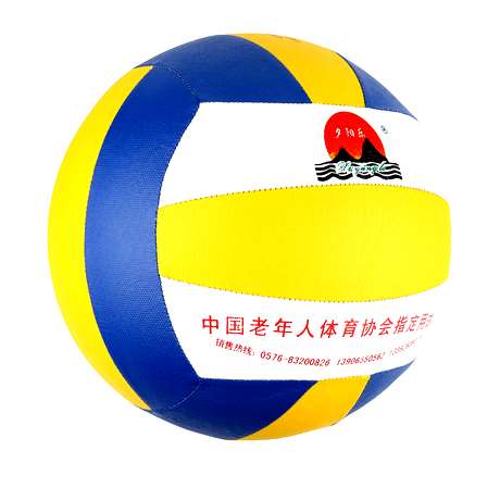 Ballon de volley-ball - Ref 2011929