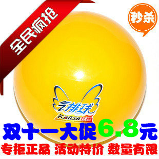 Ballon de volley-ball - Ref 2012016