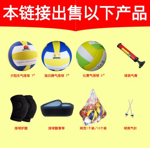 Ballon de volley-ball - Ref 2012020