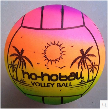 Ballon de volley-ball - Ref 2012031